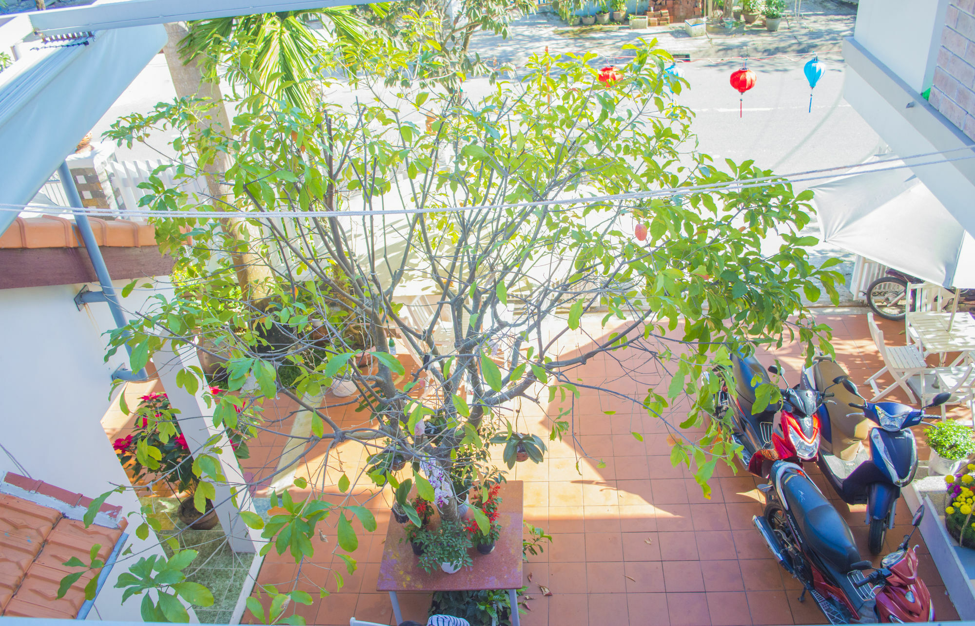 Halo Homestay Hoi An Exterior photo